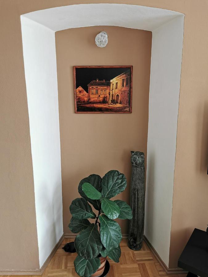 Apartman Antoninska ズノイモ エクステリア 写真