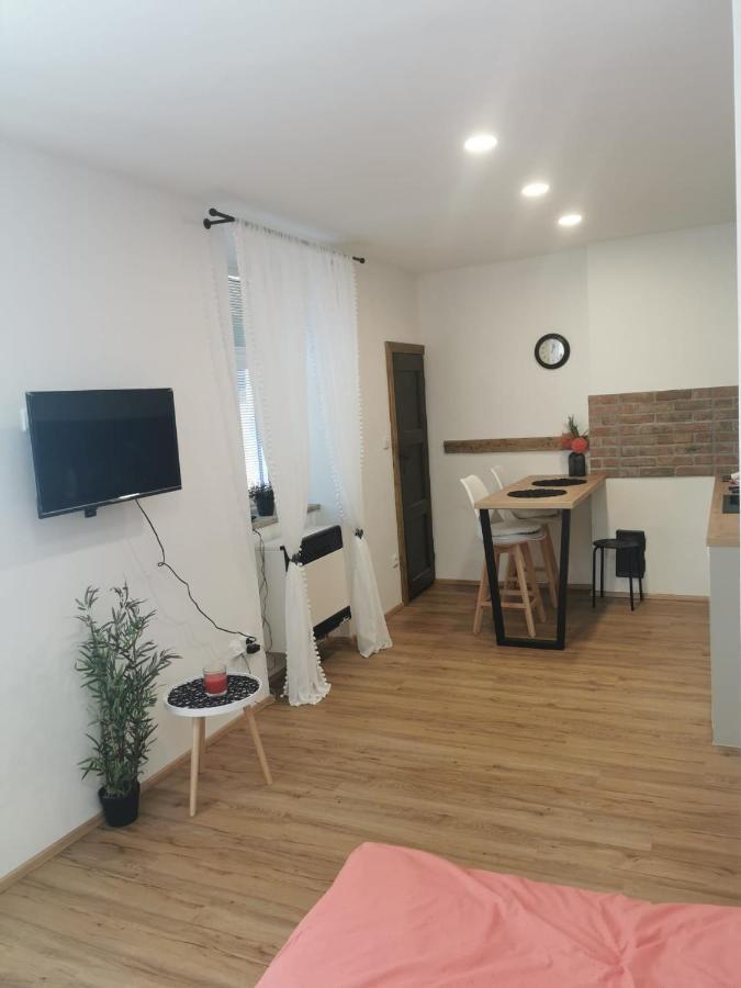 Apartman Antoninska ズノイモ エクステリア 写真