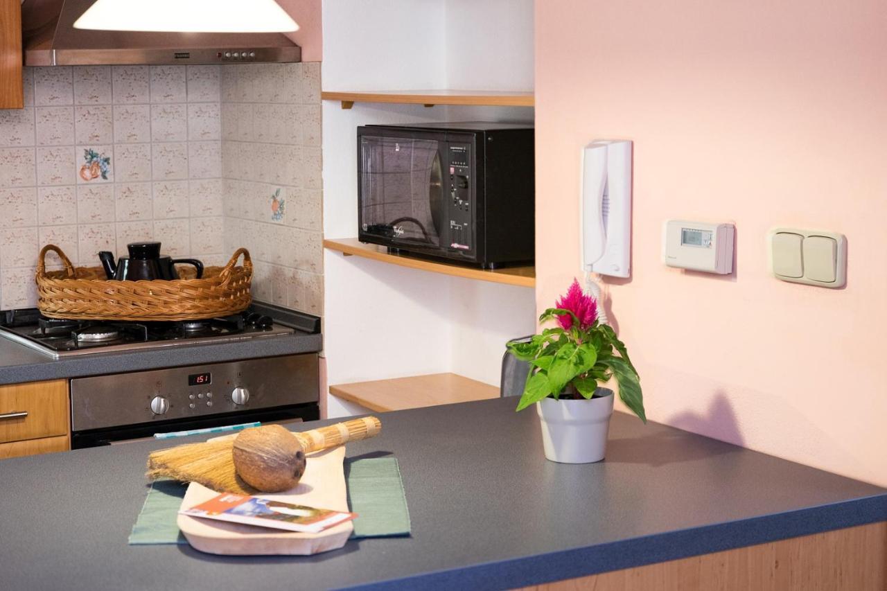 Apartman Antoninska ズノイモ エクステリア 写真